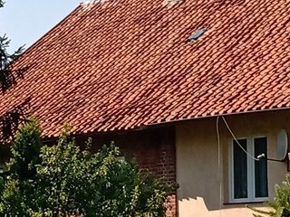 Rodzeństwo