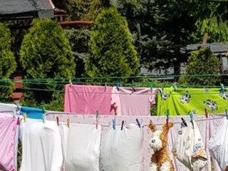 Uszy do góry ;-)