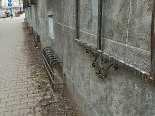 Czeka nas ptasia grypa
