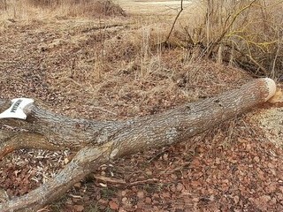 Bobrza prywata