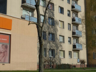 Zielony Elbląg 6