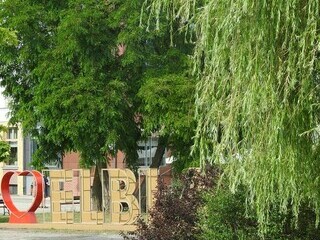 Elbląg w zieleni