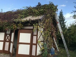 Winobranie w Elblągu