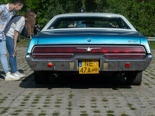 Piękny Thunderbird