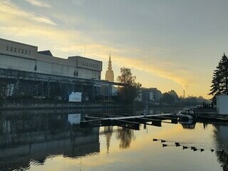 Pierwszy mroźny poranek