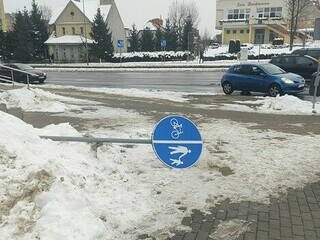 Kto powalił znak?