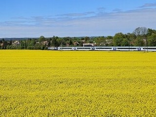 Widok dla pasażerów