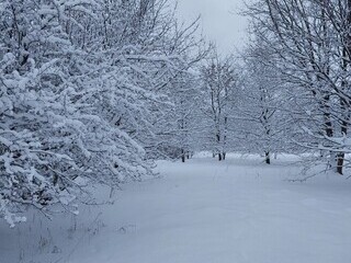 W poszukiwaniu Królowej Śniegu
