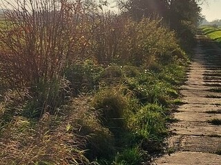 Listopadowe babie lato