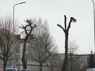 Zdewastowanie bez żadnych konsekwencji