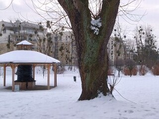 Rekordowe osiągnięcie drwali wandali i UM w Elblągu.