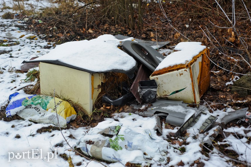 O śmieciach między drogą a rzeką zdjęcie nr 236317