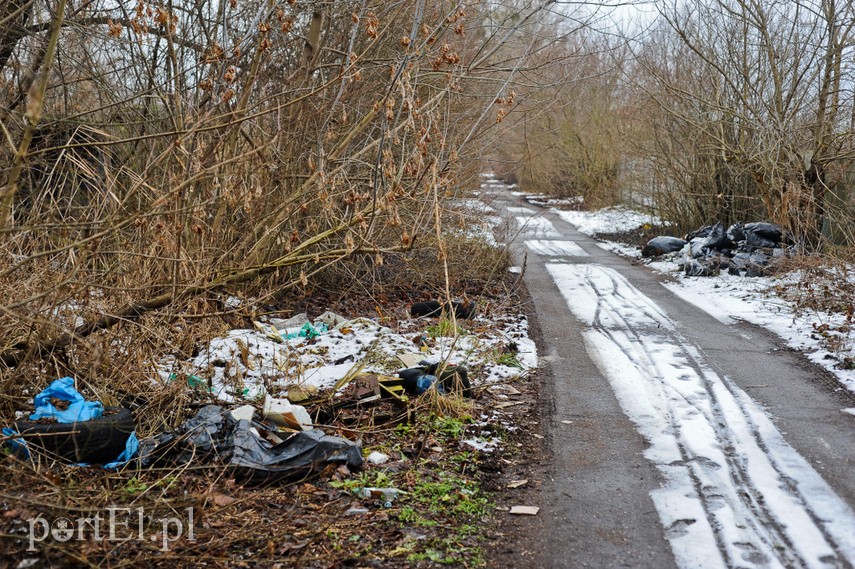 O śmieciach między drogą a rzeką zdjęcie nr 236306