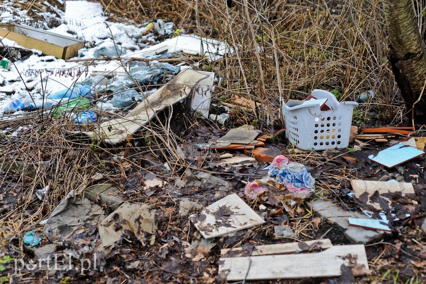 O śmieciach między drogą a rzeką zdjęcie nr 236314