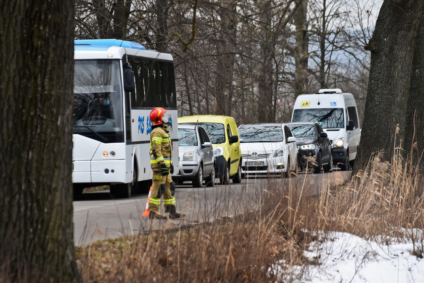 54-latek uderzył renault w drzewo zdjęcie nr 236536