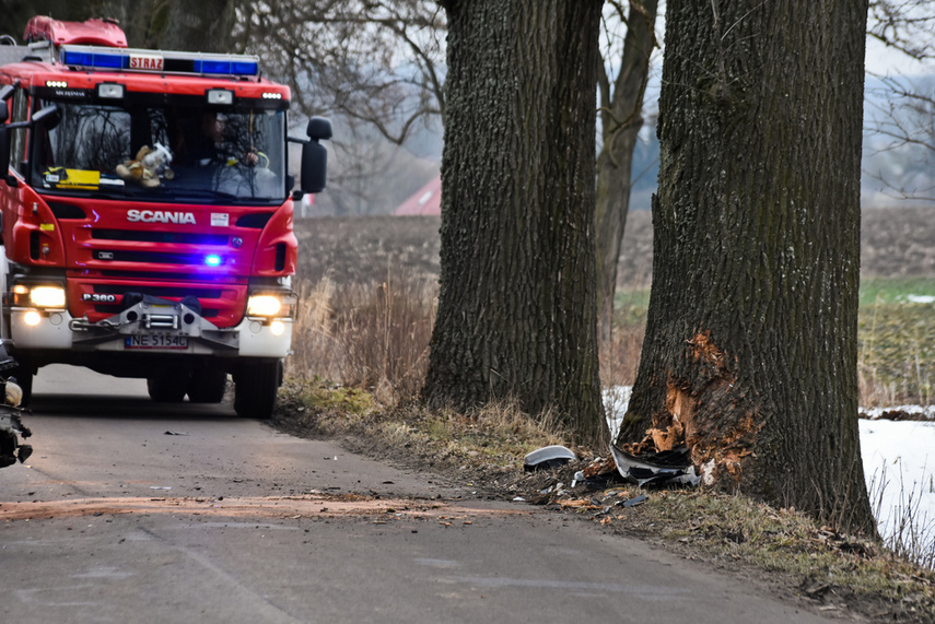 54-latek uderzył renault w drzewo zdjęcie nr 236531