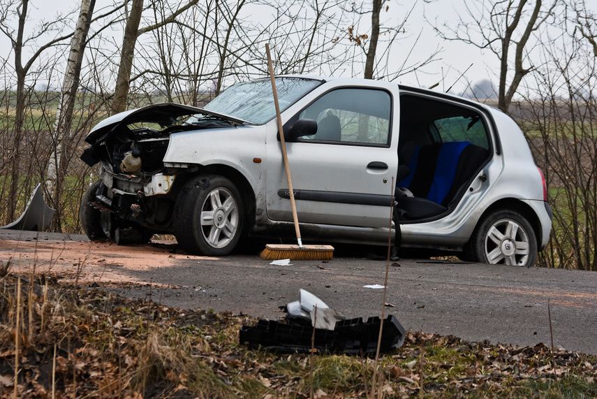 54-latek uderzył renault w drzewo zdjęcie nr 236534