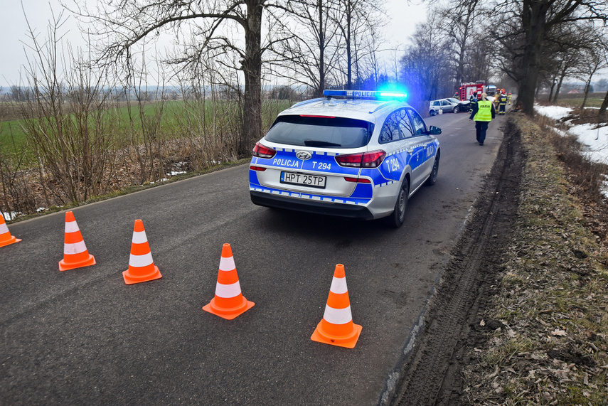 54-latek uderzył renault w drzewo zdjęcie nr 236529