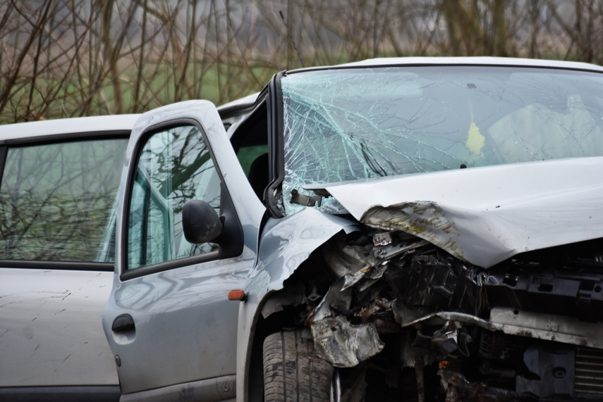 54-latek uderzył renault w drzewo zdjęcie nr 236535