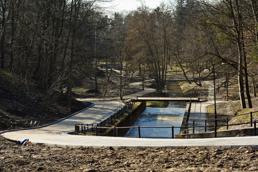 Jak zmienia się park Dolinka zdjęcie nr 237305