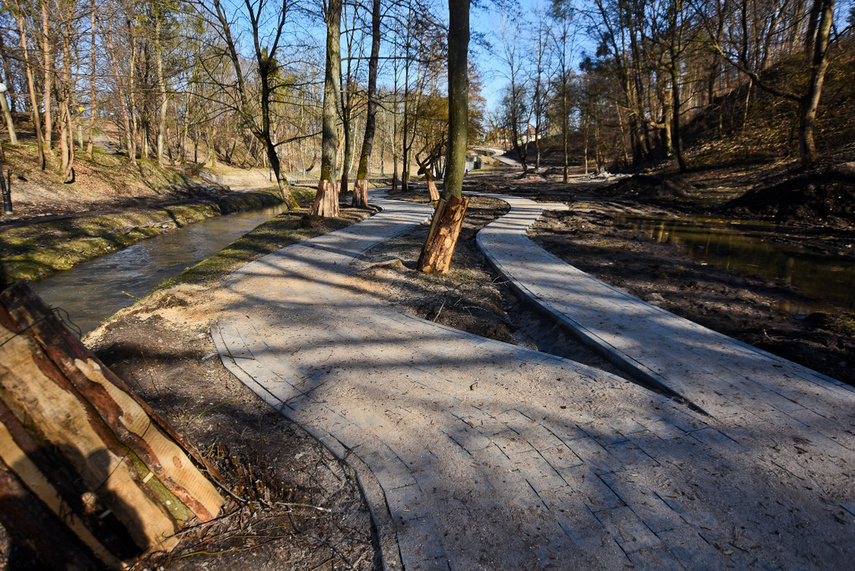 Jak zmienia się park Dolinka zdjęcie nr 237303