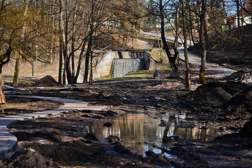 Jak zmienia się park Dolinka zdjęcie nr 237302