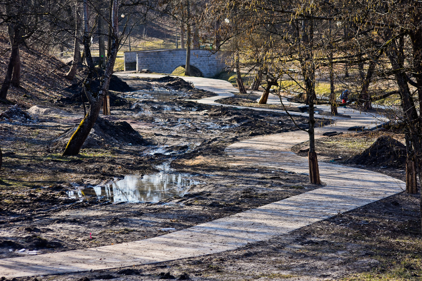 Jak zmienia się park Dolinka zdjęcie nr 237304