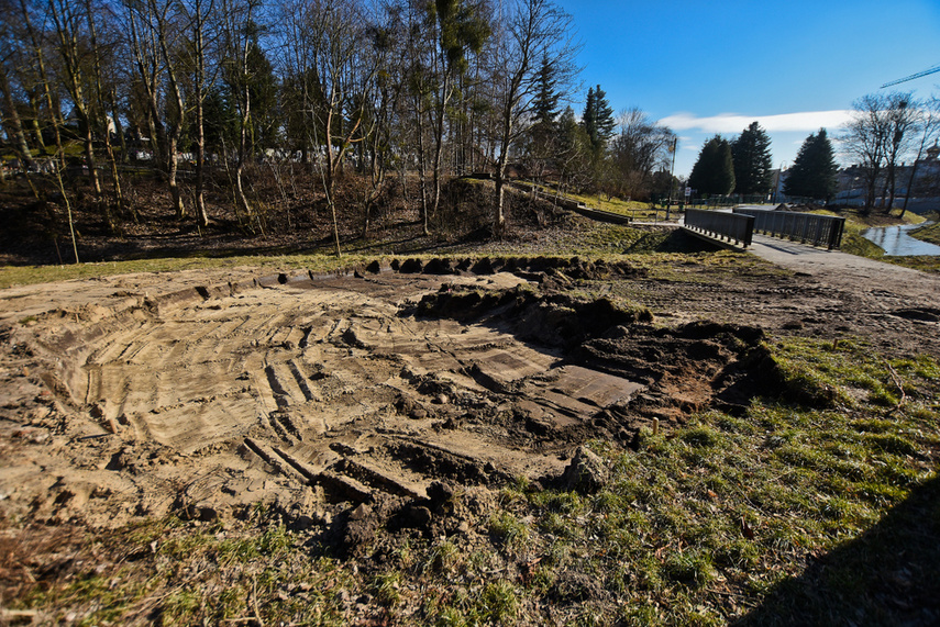 Jak zmienia się park Dolinka zdjęcie nr 237295