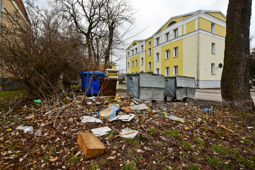 Dramat ze śmieciami zdjęcie nr 237570