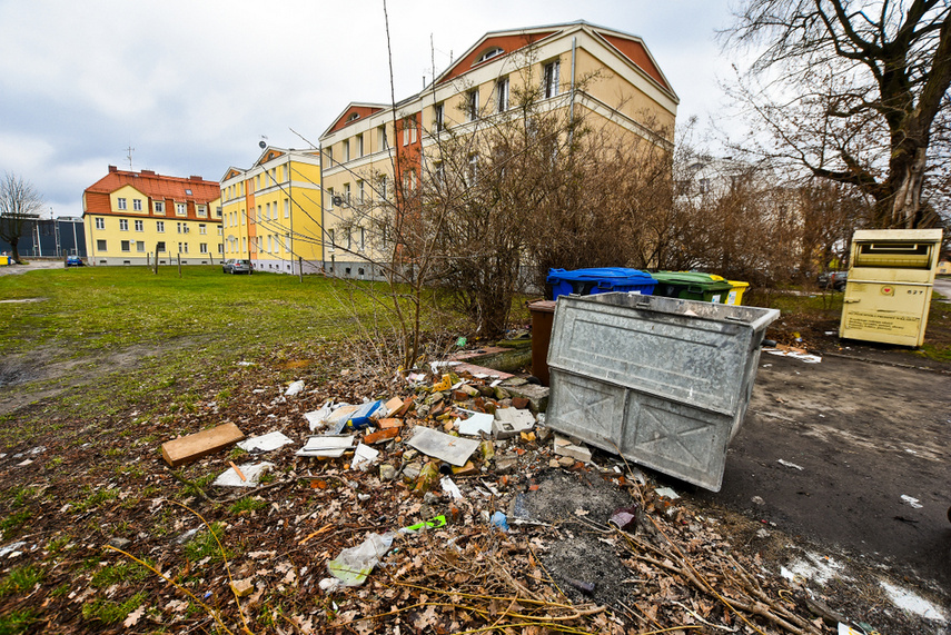 Dramat ze śmieciami zdjęcie nr 237571