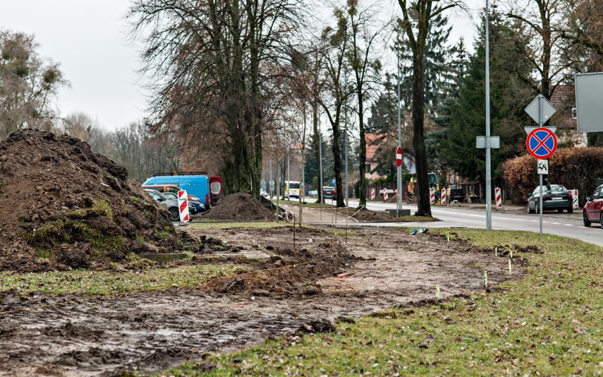 Którędy pojadą rowerzyści zdjęcie nr 237595