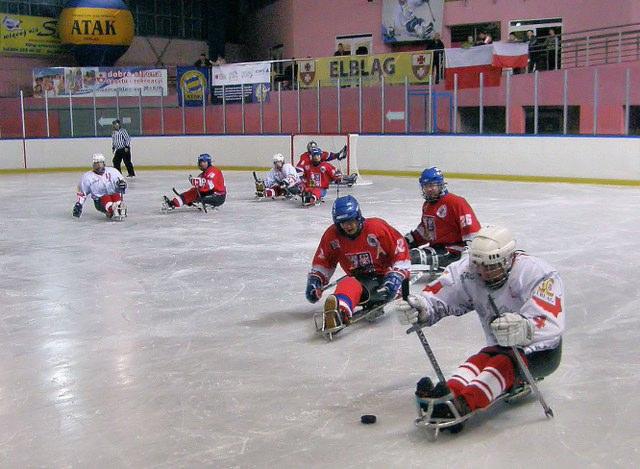 Reprezentacja Norwegii najlepsza w Elblągu (hokej na sledgach) zdjęcie nr 19451