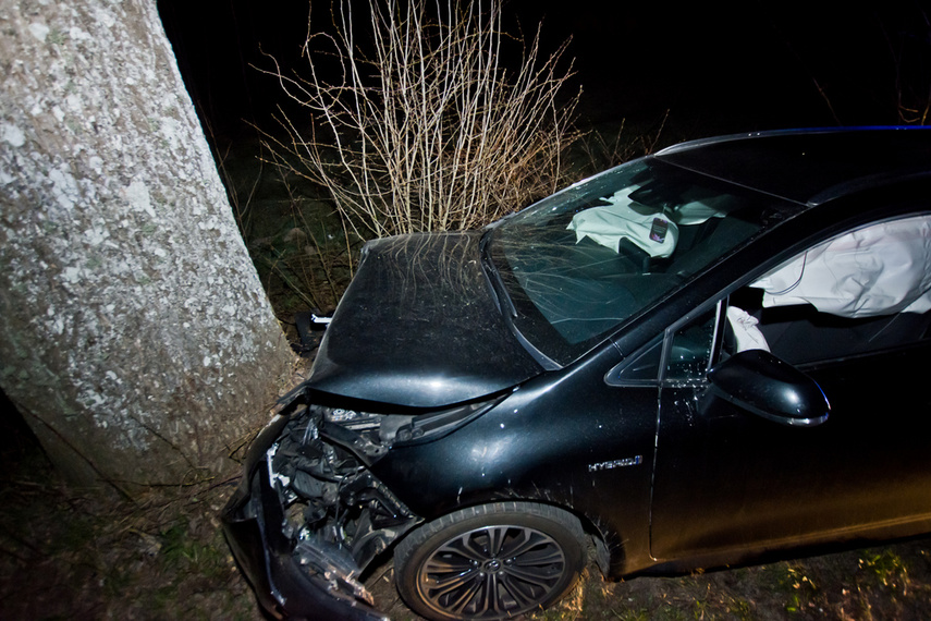 Kobieta kierująca toyotą uderzyła w drzewo zdjęcie nr 237996