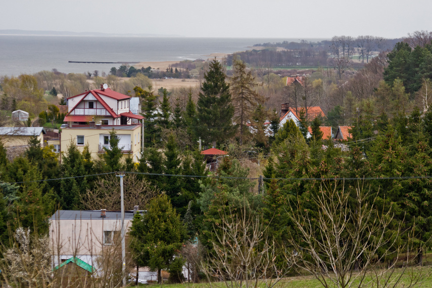 Las zmiennym jest zdjęcie nr 238795
