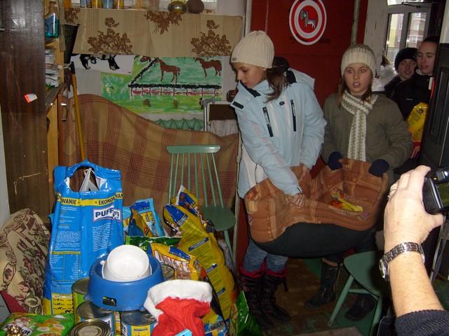 Wigilia dla zwierząt zdjęcie nr 19514