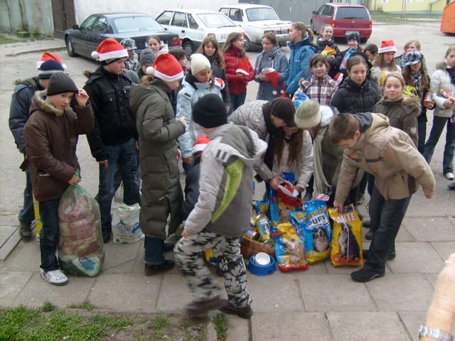 Wigilia dla zwierząt zdjęcie nr 19510
