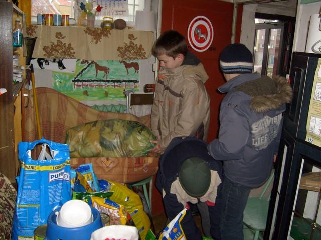 Wigilia dla zwierząt zdjęcie nr 19515