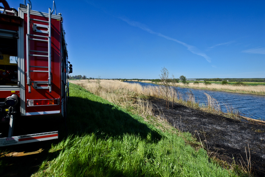 Pożar trzcinowiska, ogień strawił około 3 hektary terenu zdjęcie nr 239484