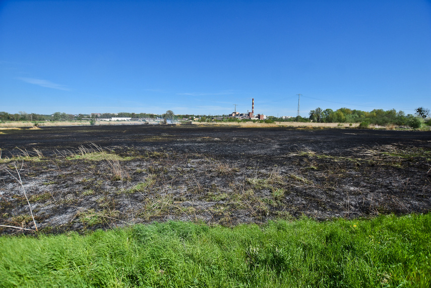 Pożar trzcinowiska, ogień strawił około 3 hektary terenu zdjęcie nr 239462