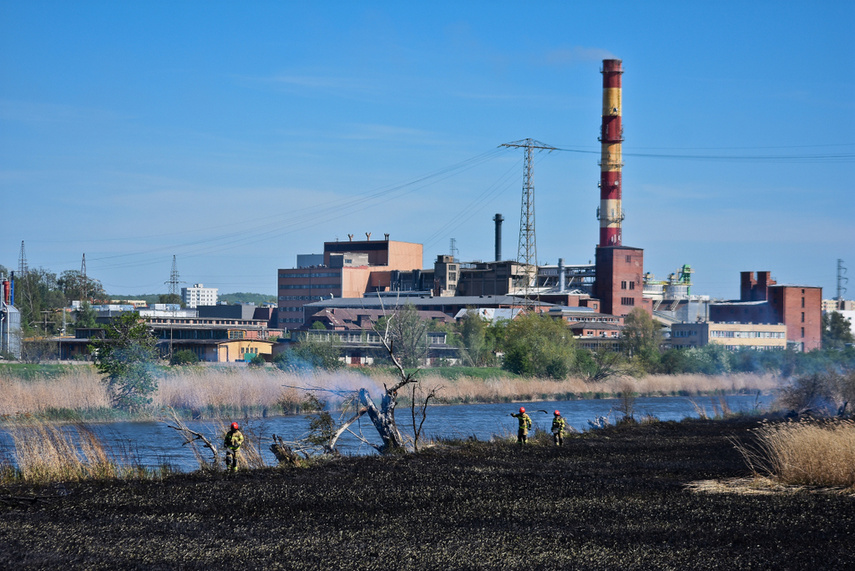 Pożar trzcinowiska, ogień strawił około 3 hektary terenu zdjęcie nr 239468