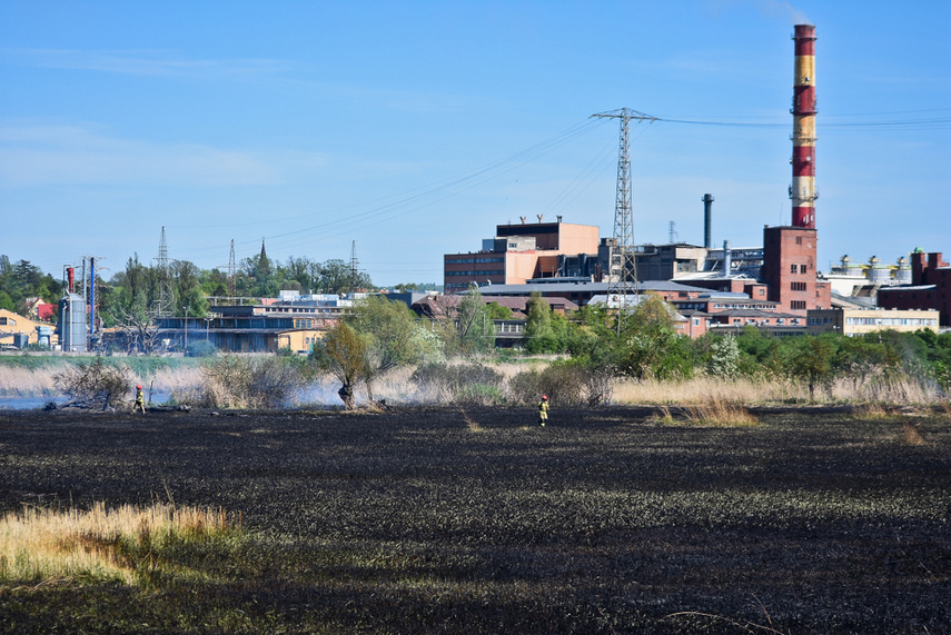 Pożar trzcinowiska, ogień strawił około 3 hektary terenu zdjęcie nr 239464