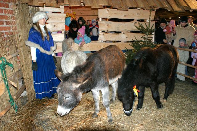 Wigilia na Starówce zdjęcie nr 19590