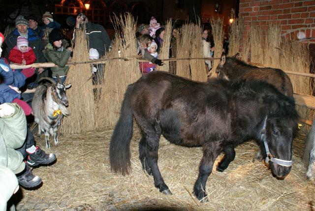 Wigilia na Starówce zdjęcie nr 19559