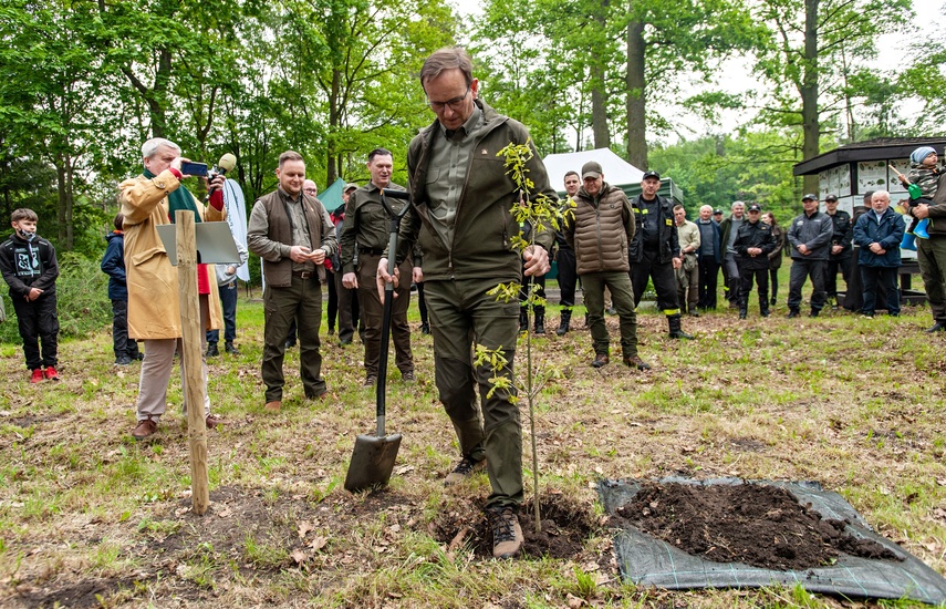 "Tysiąc drzew na minutę" zdjęcie nr 240294
