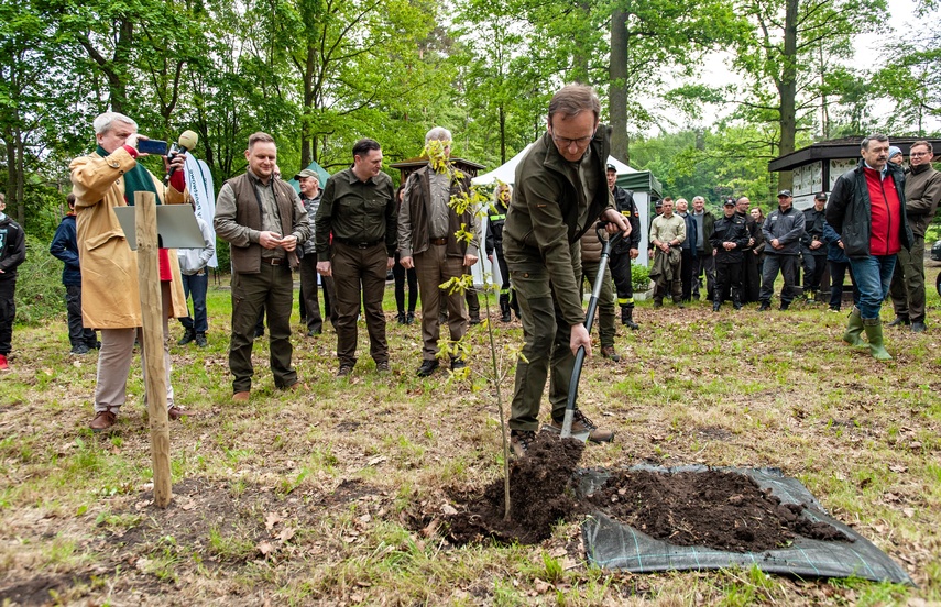 "Tysiąc drzew na minutę" zdjęcie nr 240293