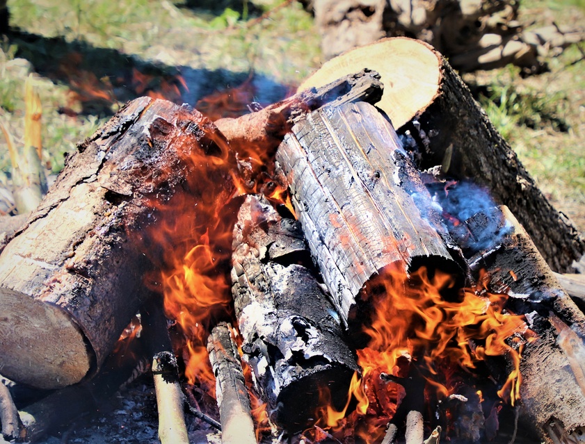 Uczniowie na szkoleniu u terytorialsów zdjęcie nr 241187