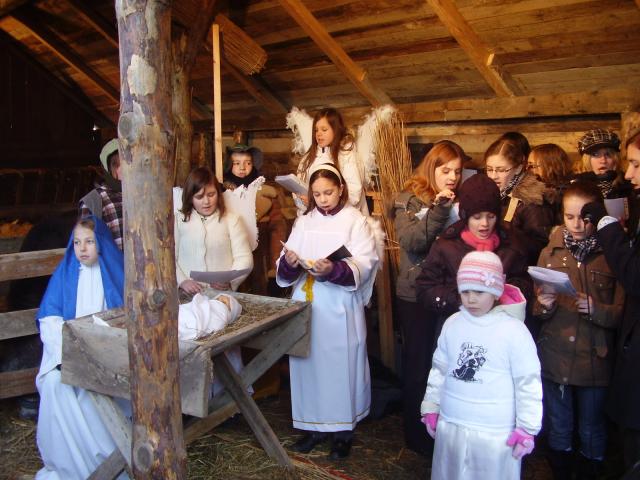 Jedyna w Elblągu zdjęcie nr 19697