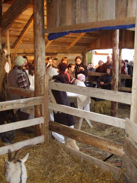 Jedyna w Elblągu zdjęcie nr 19690