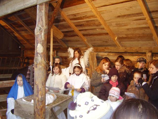 Jedyna w Elblągu zdjęcie nr 19695