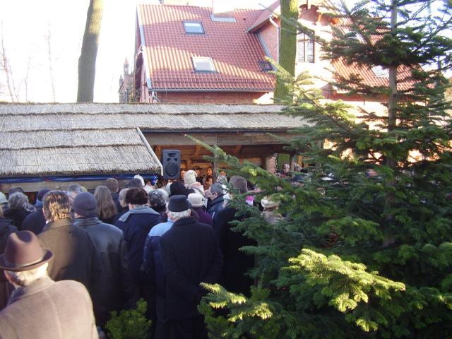 Jedyna w Elblągu zdjęcie nr 19692